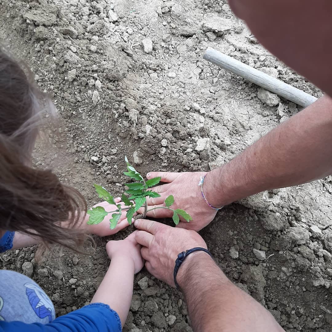 azienda-agricola-seminare